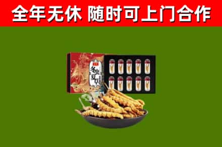 杜集区回收冬虫夏草价格